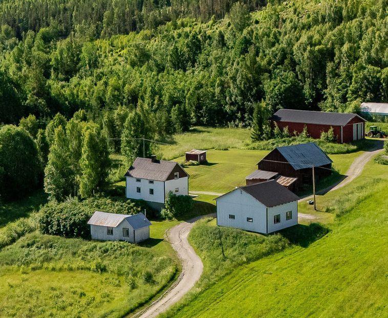 Rönningen 227, Torpshammar