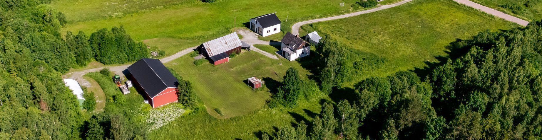 Rönningen 227, Torpshammar – bild 77