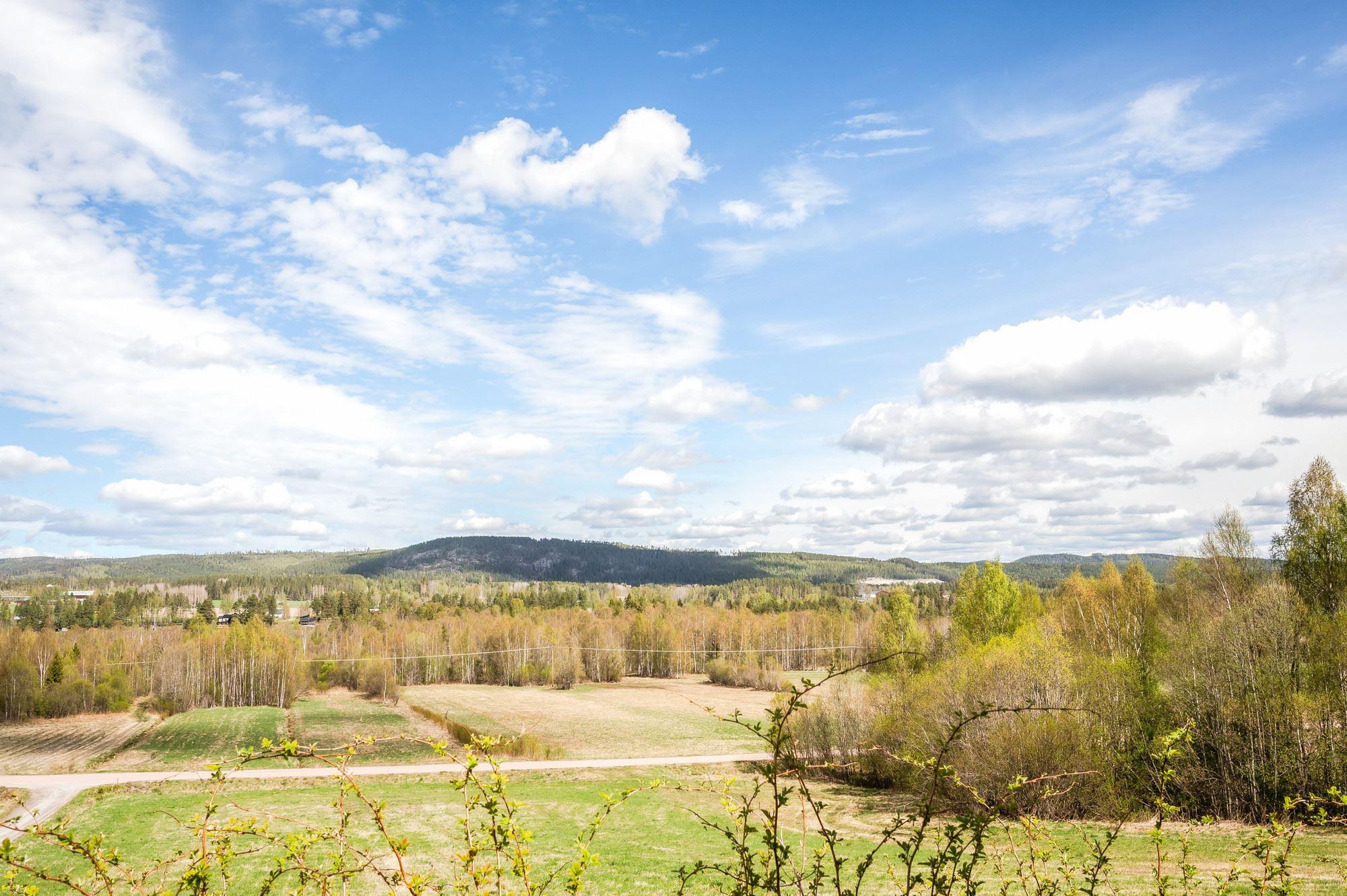 Rönningen 227, Torpshammar – bild 85